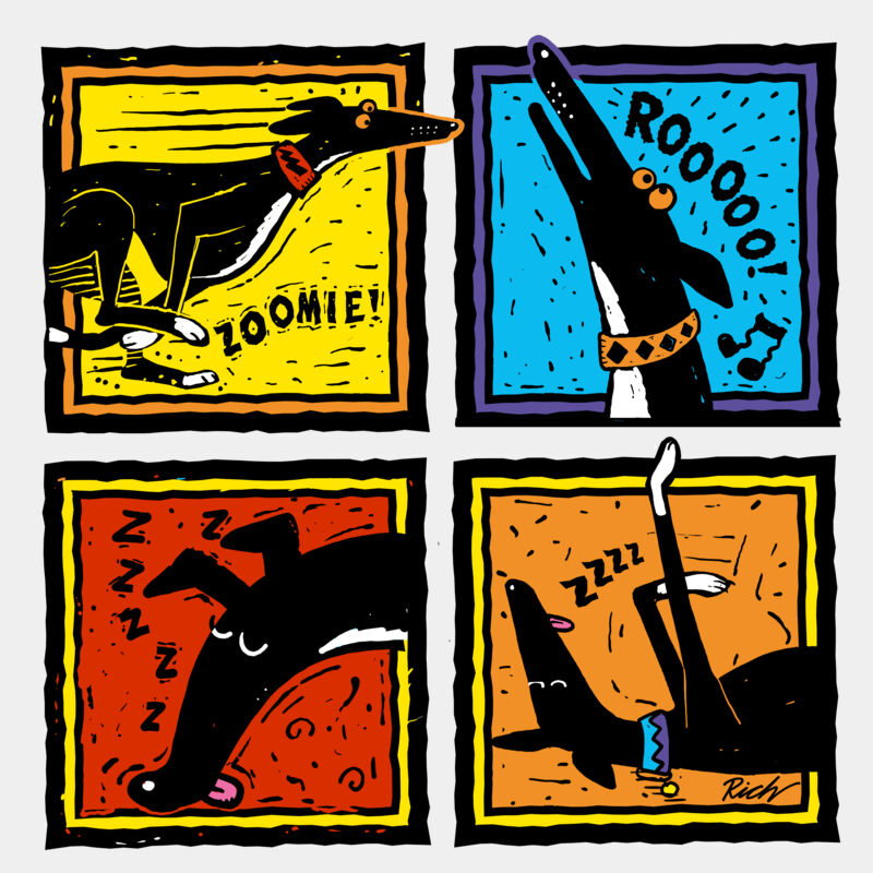 Rich Skipworth cartoons Thumbnail