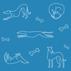 GAP White Print - AS Colour Mens Staple T shirt Design