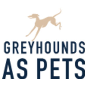 GAP - Pet Tag Bone Design