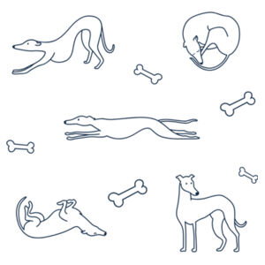 Greyhounds - Cushion cover Design