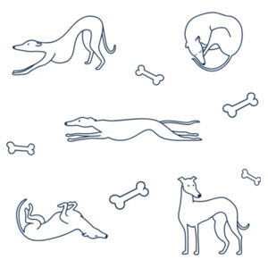 Greyhounds - White Tea Towel Design