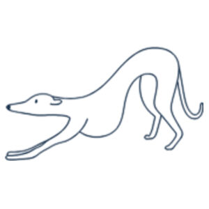 Stretching - Pet Tag Bone Design