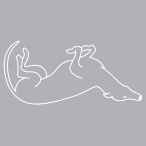 Belly Up - Thread Project Womens Eden V-Neck Tee Design