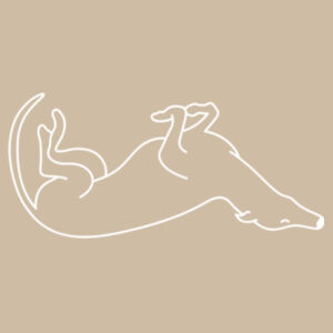 Belly Up - AS Colour Womens Maple Curve Tee Design