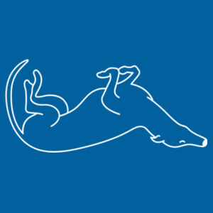 Belly Up - AS Colour Kids Youth T shirt Design