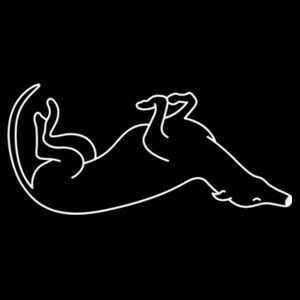 Belly Up - AS Colour Recycled Zip Wallet Design