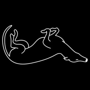 Belly Up - AS Colour Nylon Wide Brim Bucket Hat Design