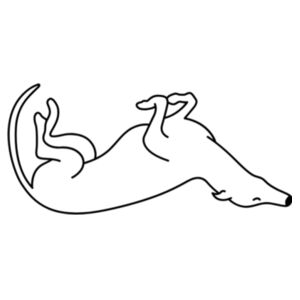 Belly Up - Cushion cover Design