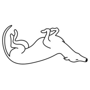 Belly Up - Mug Design