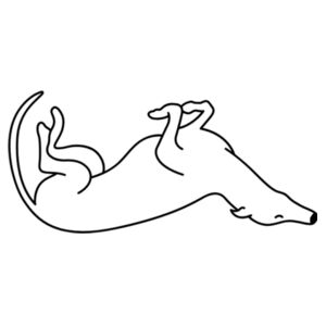 Belly Up - Stainless Bottle with Straw Top Design