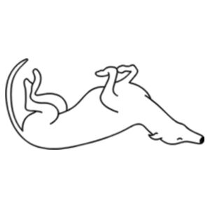 Belly Up - Pet Tag Bone Design