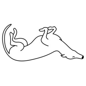 Belly Up - Stainless Bottle Design