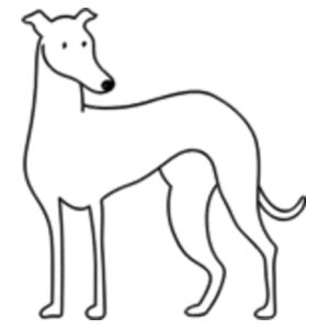 Standing - Pet Tag Bone Design