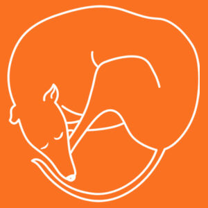 Doggy Donut - AS Colour Kids Youth T shirt Design