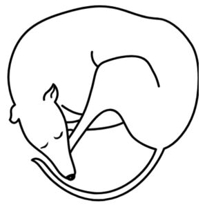 Doggy Donut - Coaster - Square Hardboard Design