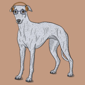 Hipster Hound - AS Colour Nylon Wide Brim Bucket Hat Design