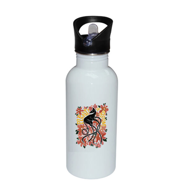 Plenty Of Room - Stainless Bottle with Straw Top Thumbnail