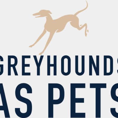 GAP Logo Part7 Thumbnail