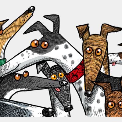 Grey Heads Thumbnail