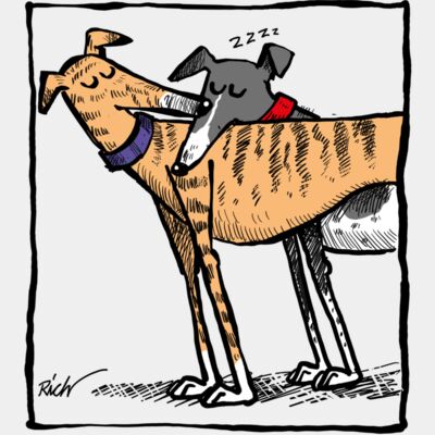 Headresting Thumbnail