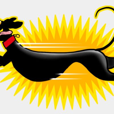 Zoomie with Flash Thumbnail